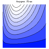 Oxygen Flux